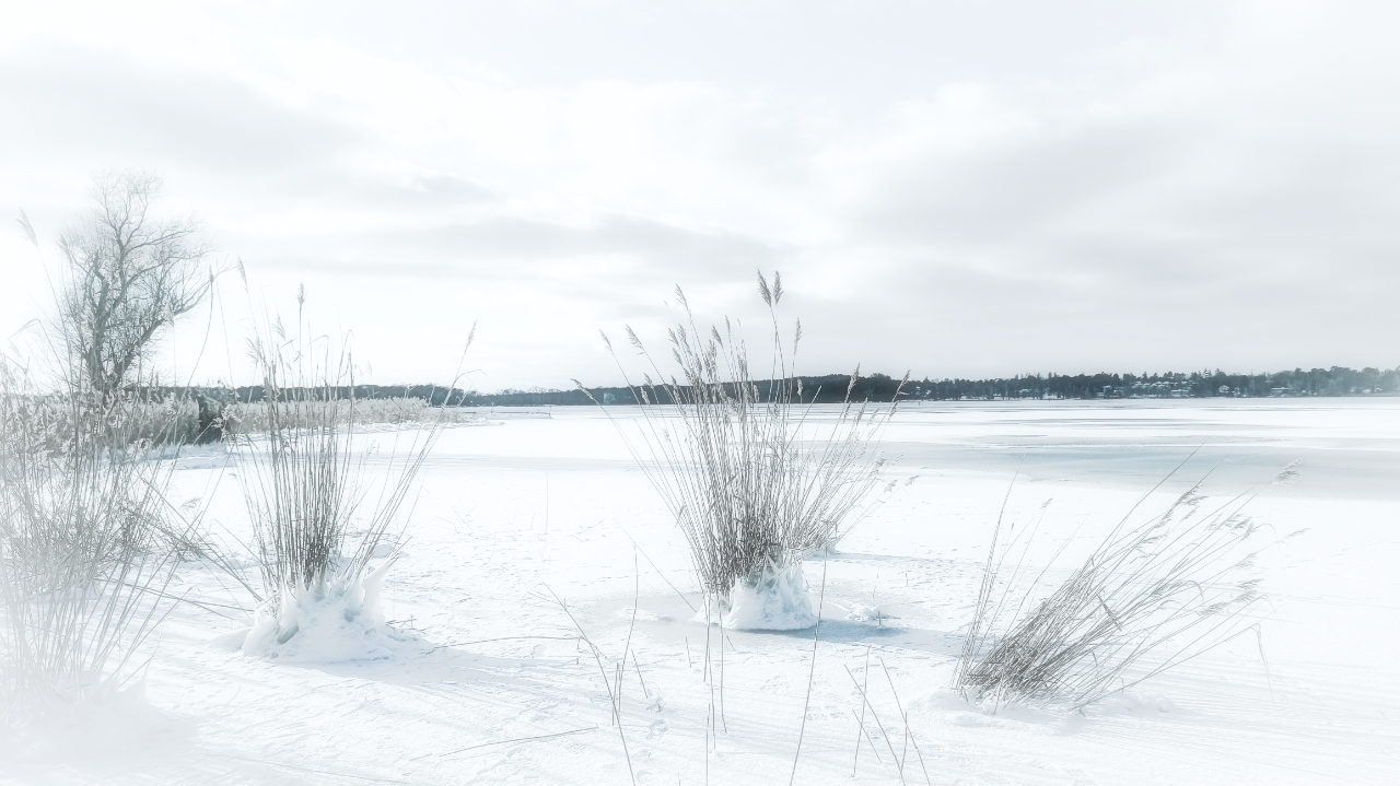Winter am Wannsee