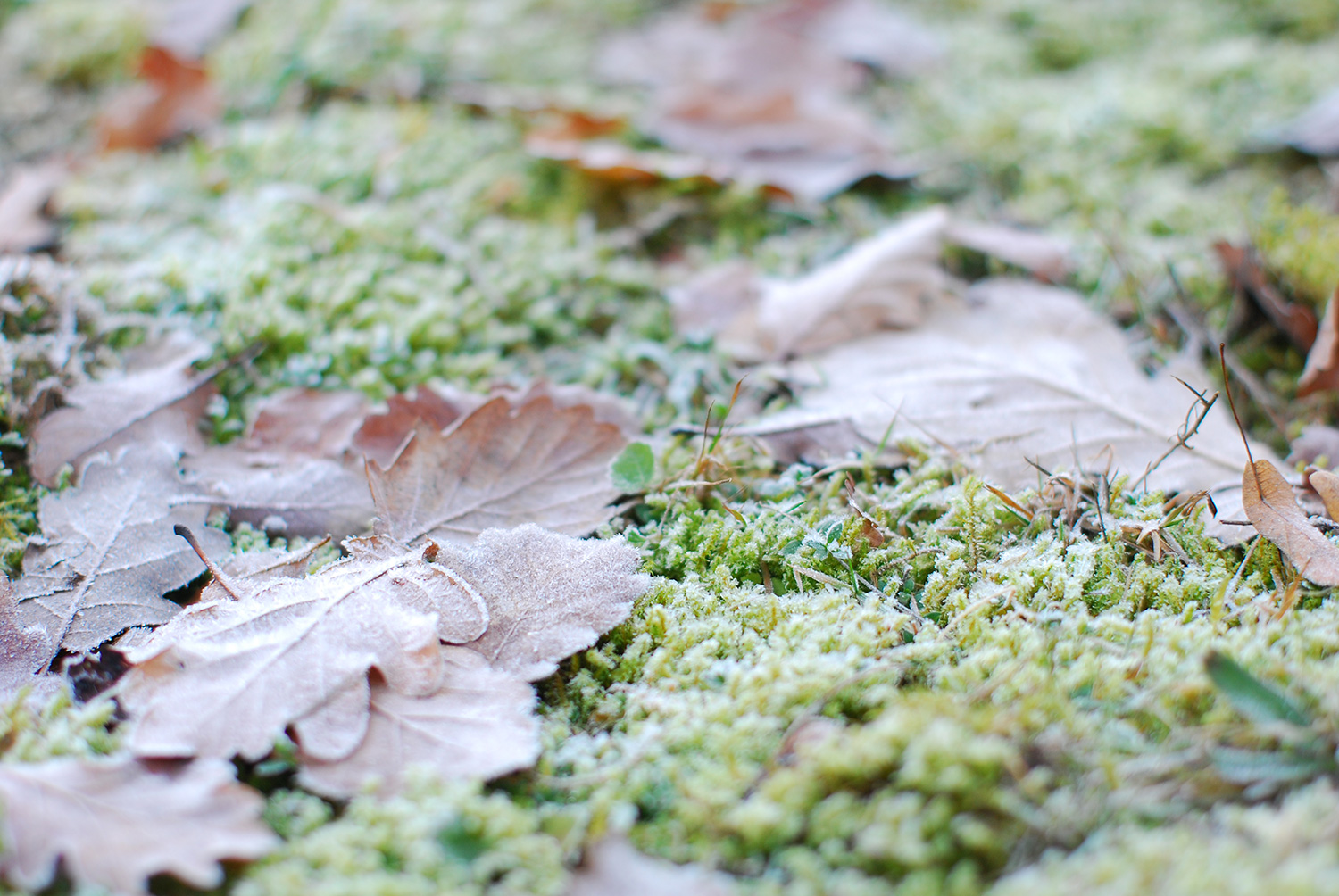 Herbst in Potsdam