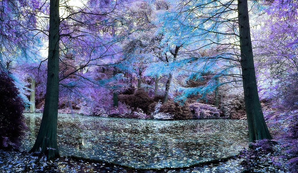 Berliner Tiergarten