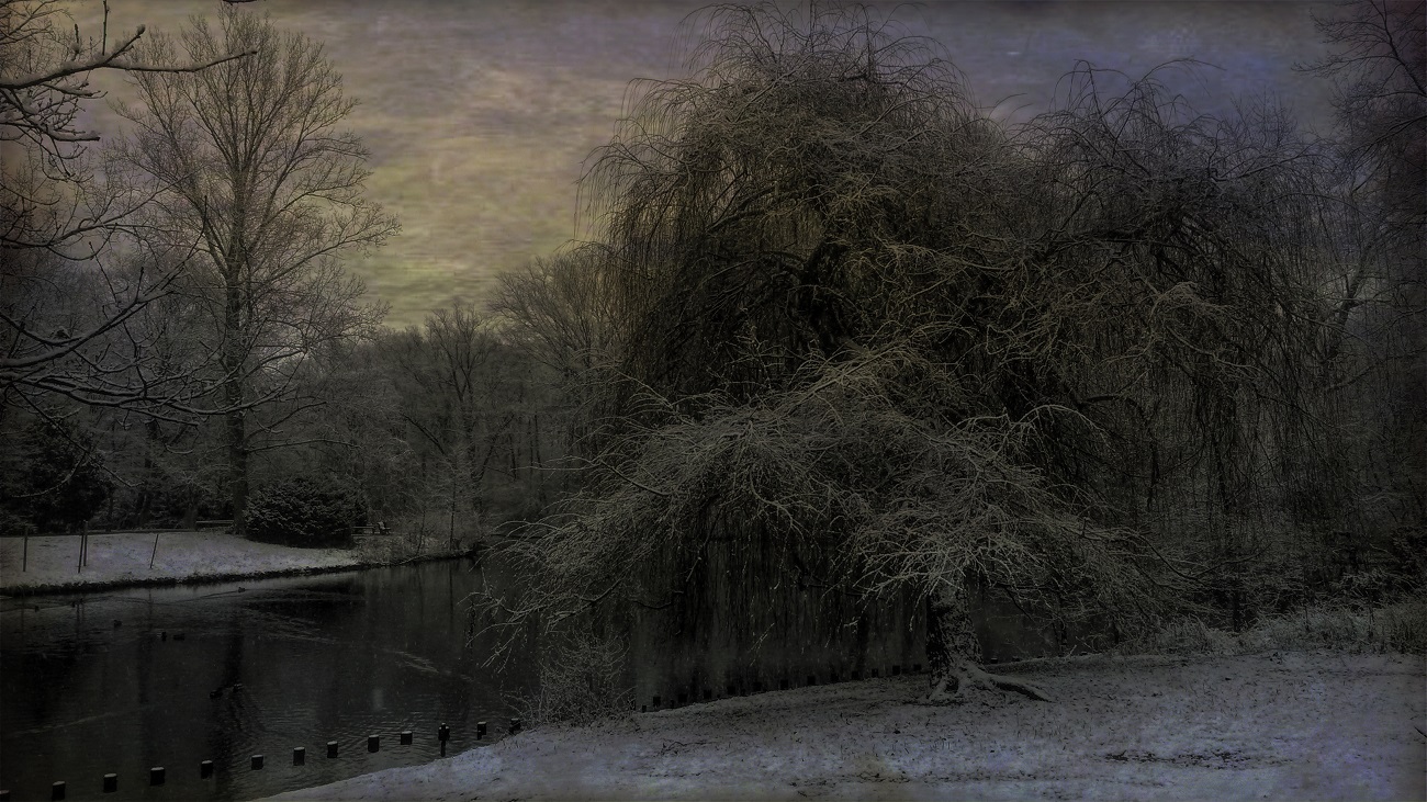 Berliner Tiergarten