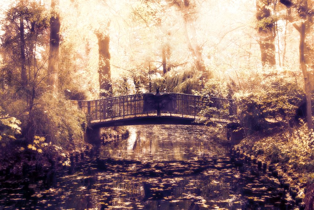 Brücke im Berliner Tiergarten